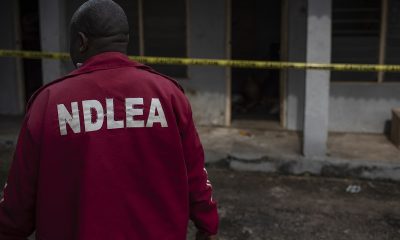 We are winning drug war in FCT, says NDLEA Commander | The Guardian Nigeria News