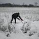 Heavy snowfall in Romania, Bulgaria, and Moldova leaves 1 person dead and many without electricity