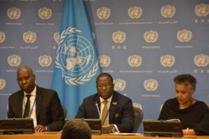 You are currently viewing SDGs: Nigeria, others call for inclusive global tax system