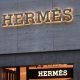 Hermès heir plans to give half his $14 billion fortune to his gardener - National