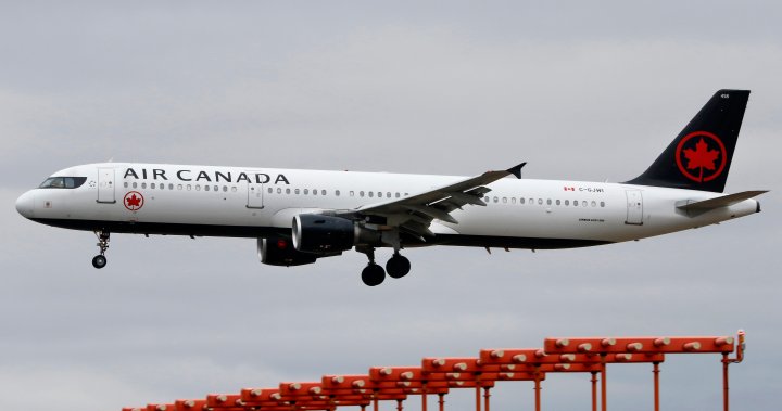 Toronto plane aborts landing 150 ft above ground after runway incursion - Toronto
