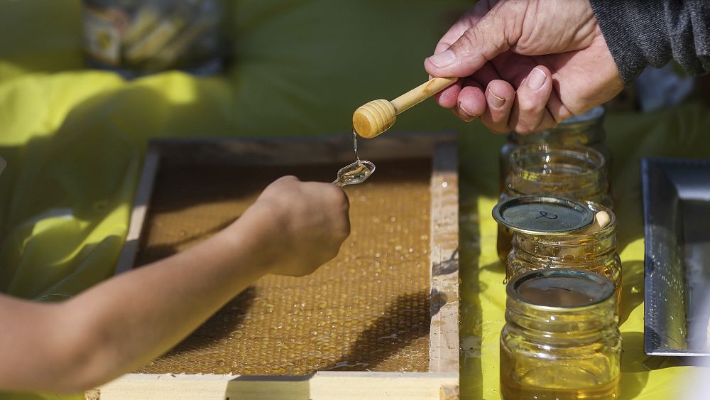 MEPs seek clearer honey labelling to curb spike in bogus imports