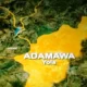 Middle-aged man hangs himself in Adamawa