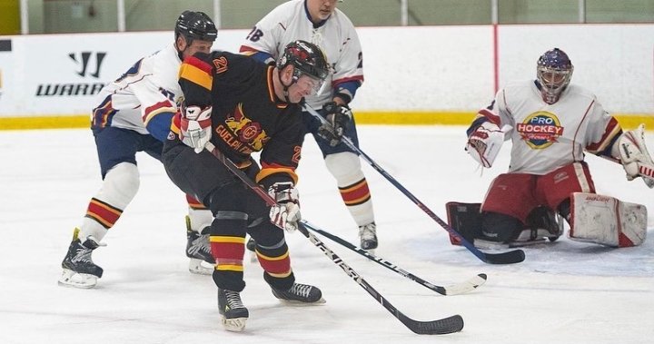 Former pros to hit the ice in Guelph for charity game vs. firefighters