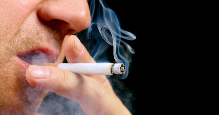 Tobacco use is on the decline globally, WHO says. Here is where Canada stands   - National
