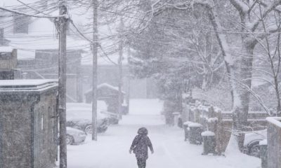 Nova Scotia to receive heavy snow, high winds into Monday - Halifax