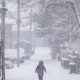 Nova Scotia to receive heavy snow, high winds into Monday - Halifax
