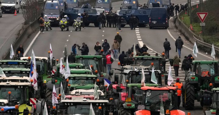 European farmer protests seek to disrupt trade. What’s happening? - National
