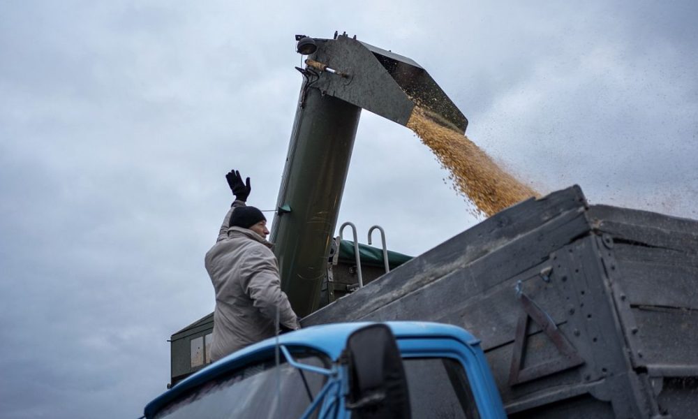 Brussels considers allowing restrictions on Ukrainian grain in case of market 'disturbances'