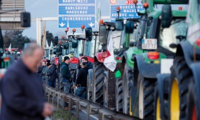 State of the Union: Farmers' protests and the defence of democracy