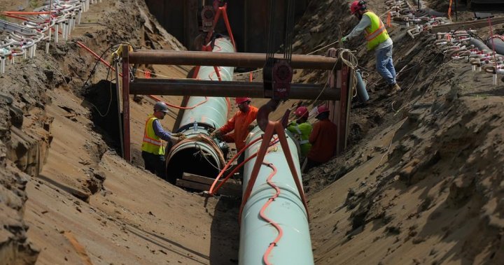 Trans Mountain considering how to move forward from latest construction delay