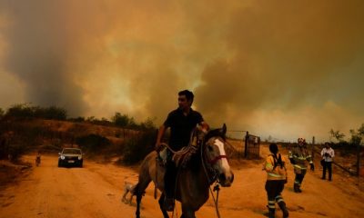 At least 64 reported dead in Chile as fires move into densely populated areas - National