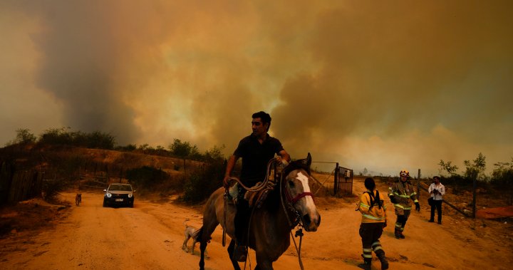 At least 64 reported dead in Chile as fires move into densely populated areas - National