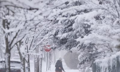 More snow forecasted for Nova Scotia as 30 centimetres expected mid-week - Halifax