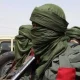 Again, terrorists kill seven, abduct 20 in Zamfara