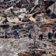 At least 112 dead in Chile after forest fires ravage the country for three days