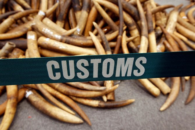 You are currently viewing Custom intercepts Elephant Tusks worth N300m in Cross River