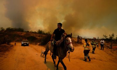 Dozens killed in Chile as forest fires rage in densely populated central areas