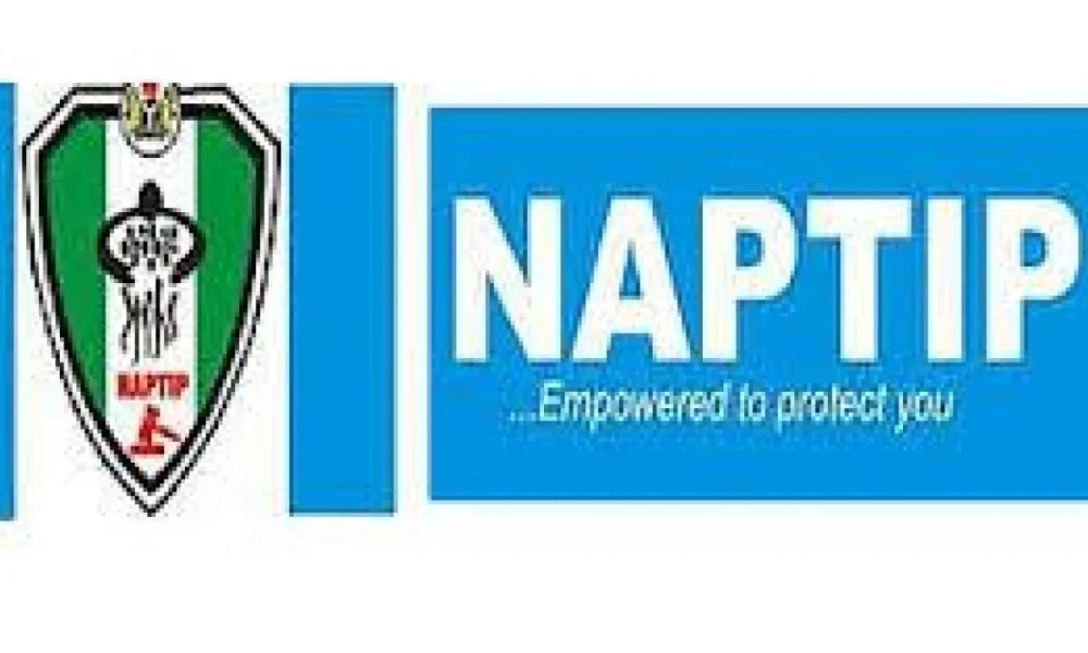 Yobe govt, NAPTIP join forces to tackle human trafficking, child labour