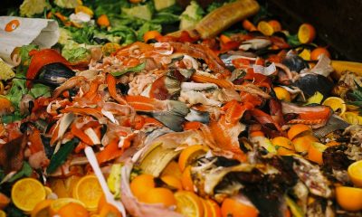 Food and food scraps in a supermarket dumpster in Granville Island, Vancouver, British Columbia
