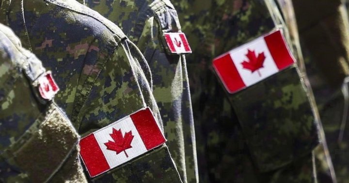 ‘Cyber Fire’: How the Canadian Armed Forces is approaching ‘cyber warfare’