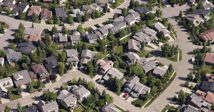 Calgary city council to debate city-wide rezoning plebiscite in special meeting - Calgary