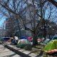 More trespass notices issued to people in encampment at Hamilton city hall - Hamilton