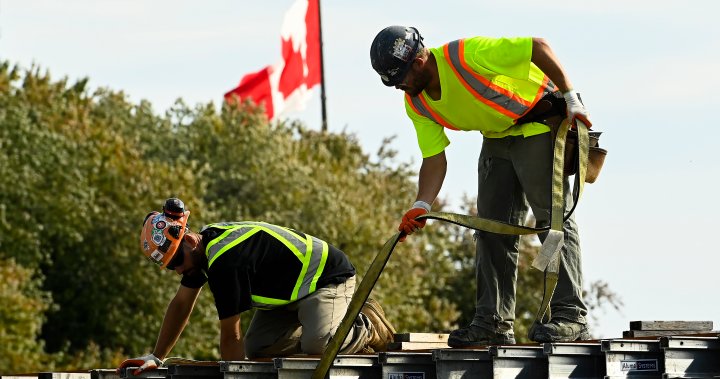 Manitoba government reduces apprenticeship ratio, gets mixed response - Winnipeg