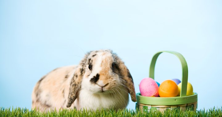 What’s open, what’s closed in Halifax for the Easter long weekend - Halifax