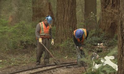 Stanley Park Easter train halted due to track damage - BC