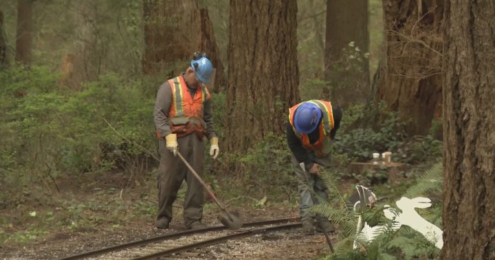 Stanley Park Easter train halted due to track damage - BC