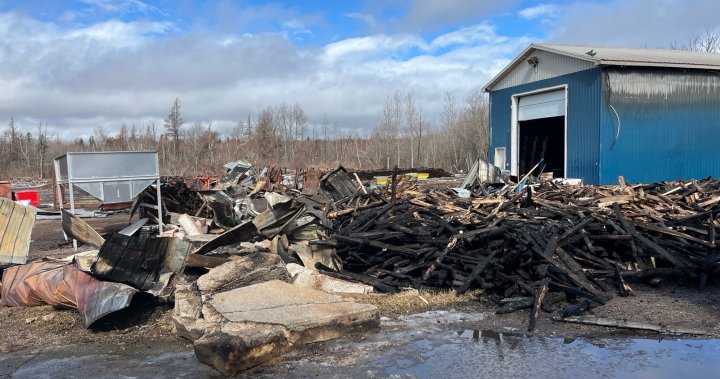 Cap-Acadie smokehouse loses storage building to fire - New Brunswick