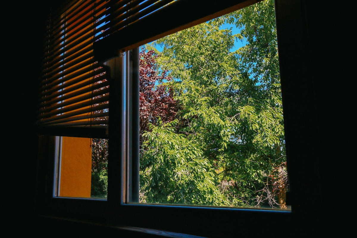 View of trees outside a bedroom window in Spain