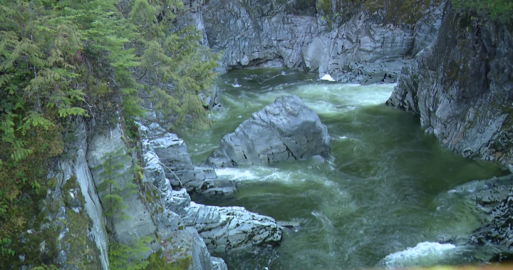 Search suspended after woman swept away in Mamquam River near Squamish, B.C. - BC