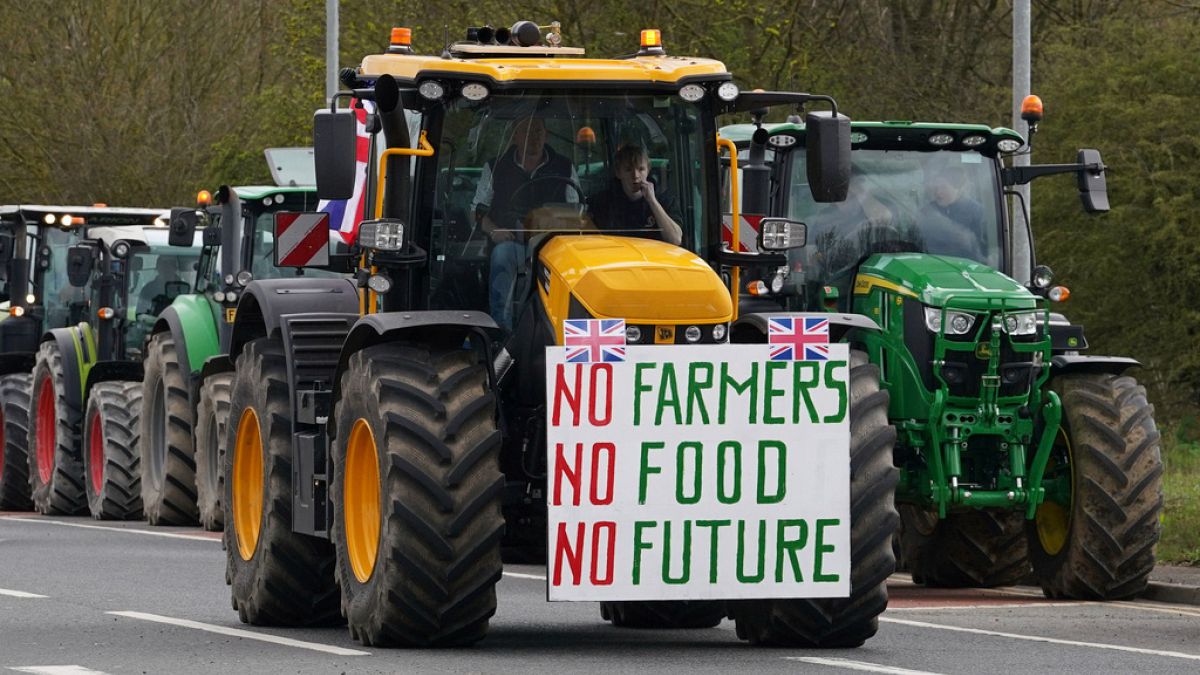 'Slaughtered': UK farmers protest post-Brexit rules and trade deals