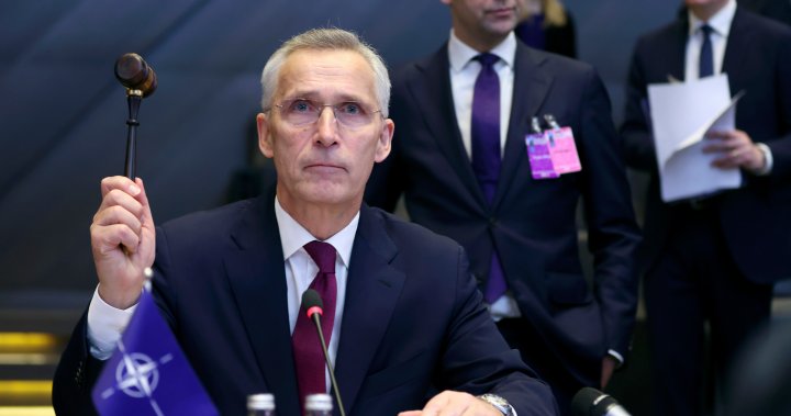 ‘America’s might’ aided by strong NATO partnership, Stoltenberg says on anniversary - National