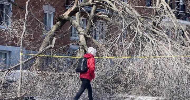 Hydro-Québec expects to fix remaining power outages from Thursday storm by end of day