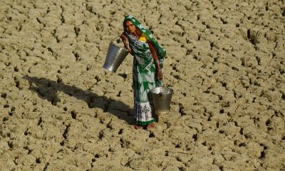 A woman walks on a dried, cracked water pond as she carries buckets for drinking water in Kaushambi, India on April 25, 2016 during a drought affecting 330 million people in the country, according to government reports
