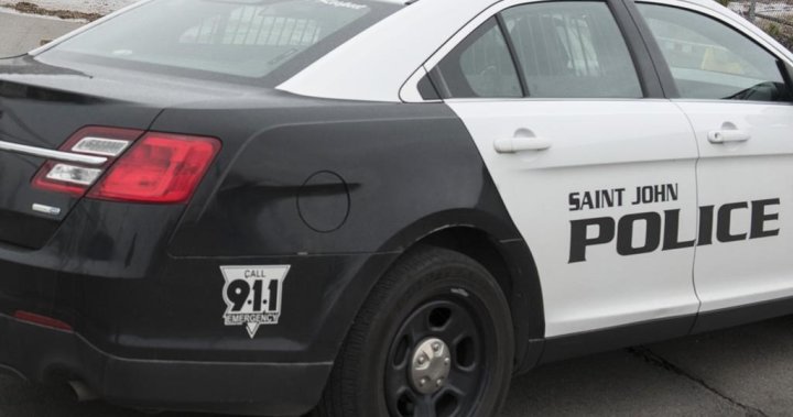 Officers under investigation after alleged altercation in Saint John, NB: police - New Brunswick
