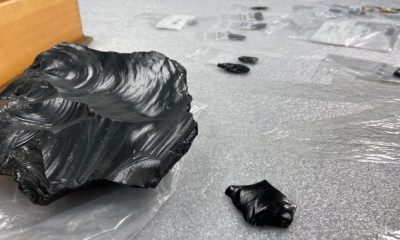 Edmonton couple finds potential obsidian artifact in front yard