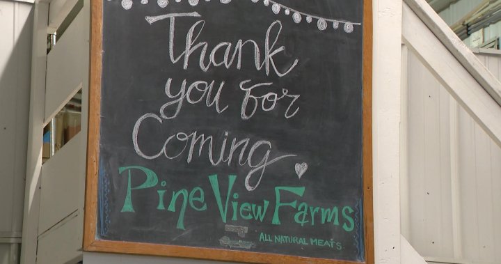 After 26 years, Sask.’s Pineview Farms closes shop and looks to the future - Saskatoon