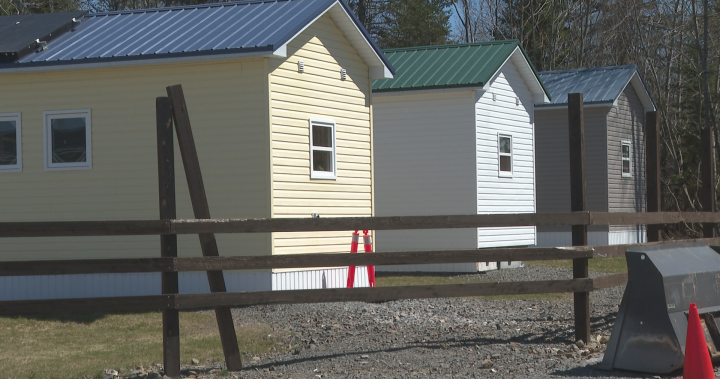 Fredericton tiny home community providing housing, opportunity - New Brunswick