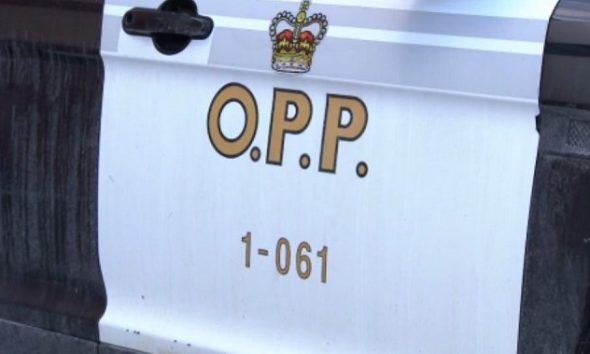 Human remains found in Georgian Bay Township identified as man missing since 2018 - Barrie