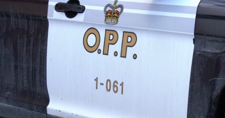 Human remains found in Georgian Bay Township identified as man missing since 2018 - Barrie