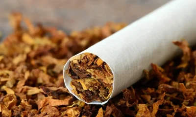 Kano, Jigawa top list of tobacco smoking in Nigeria - Report