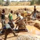 Niger Govt arrests over 30 illegal miners