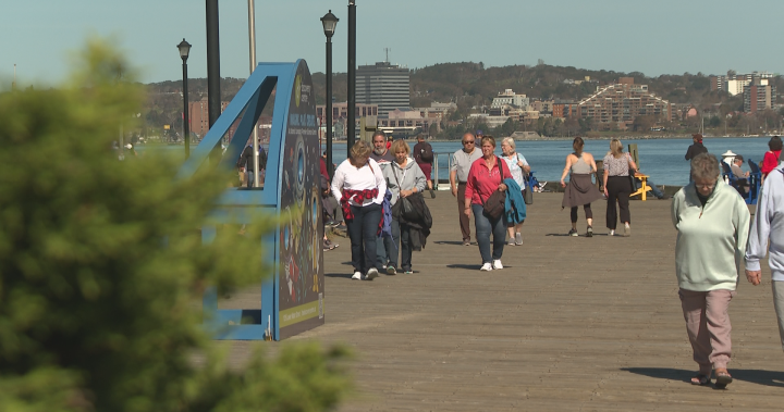 The ‘very busy’ Halifax waterfront and why changes could be on the way - Halifax