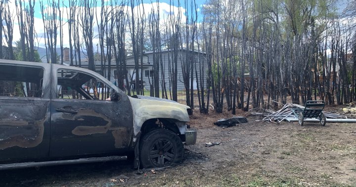 Rethink cedars, says Kelowna Fire Department after hedge blaze - Okanagan