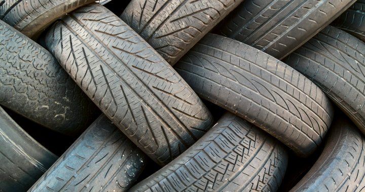 South Okanagan park benefits from used tire recycling - Okanagan