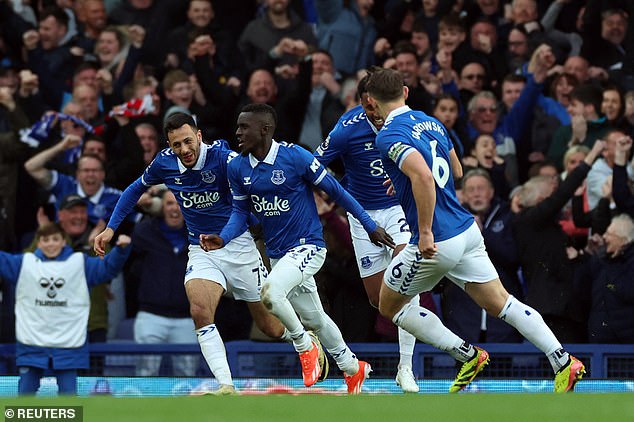 Everton's safety was secured thanks to a winner from Idrissa Gana Gueye on Saturday